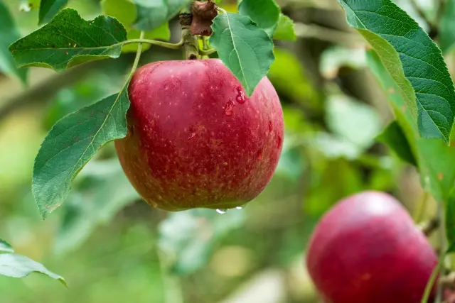 今月の旬な食材！