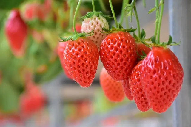 今月の旬な食材！