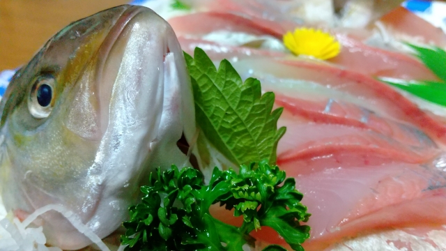 今月の旬な食材！