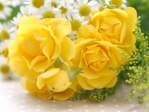 黄色のバラの花束は要注意