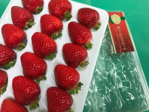 いちごの時期です🍓