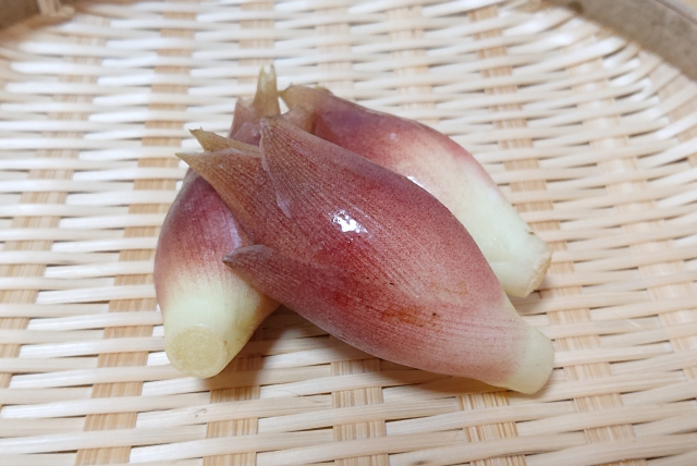 食べると物忘れがひどくなる？栄養たっぷり「茗荷（みょうが）」